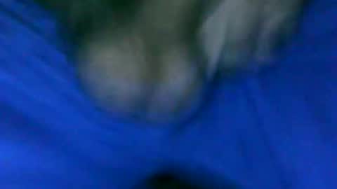 Snapshot of fer_2197 chatting on January 23, 1:24 pm fer_2197 online show from January 23, 1:24 pm