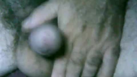 fer_2197 online show from April 3, 12:03 pm