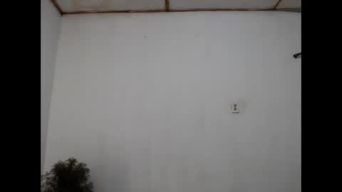 fernandez_latinblack online show from December 31, 11:28 pm