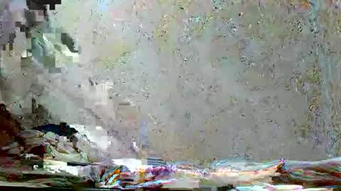 fernandez_latinblack online show from November 18, 10:31 am