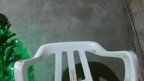 fernandez_latinblack online show from December 14, 11:53 pm