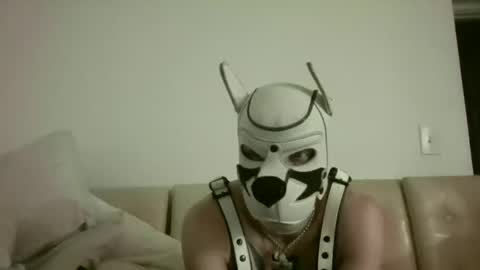 Snapshot of fetishsearch1abdl chatting on September 25, 11:03 am fetishsearch1abdl online show from September 25, 11:03 am