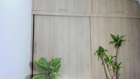 filletatouee online show from November 14, 3:05 am