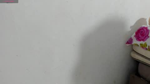 Snapshot of fire_lovex chatting on May 12, 8:22 am fire lovex online show from May 12, 8:22 am