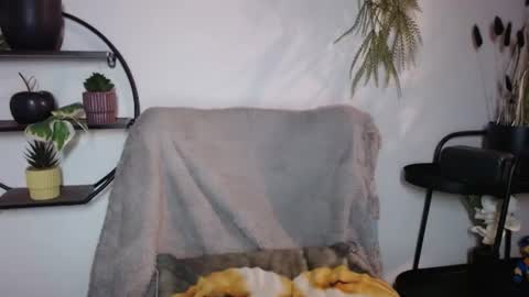Snapshot of fitness1989 chatting on July 20, 8:55 pm fitness1989 online show from July 20, 8:55 pm
