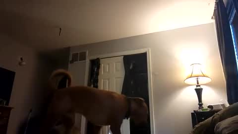 Snapshot of fkmylife6669 chatting on February 28, 1:03 pm Nate online show from February 28, 1:03 pm