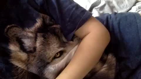 floraexploration online show from December 22, 11:22 am