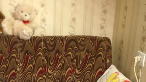 say meow and send tip  online show from February 27, 8:50 am