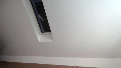 flowster221 online show from December 20, 1:18 pm