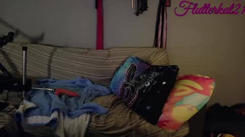 FlutterKat online show from March 12, 3:29 pm