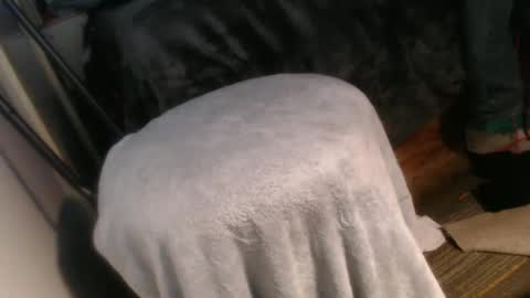 forestnymphpdx online show from December 20, 10:16 am