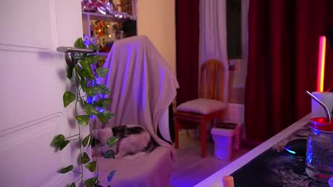 Senya  subscribe to telegram channel  online show from December 2, 4:51 am