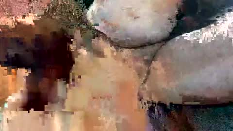 foxhole23 online show from September 13, 10:59 am