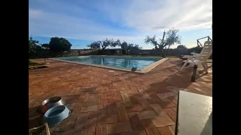 Snapshot of fra__71 chatting on March 27, 4:29 pm fra 71 online show from March 27, 4:29 pm