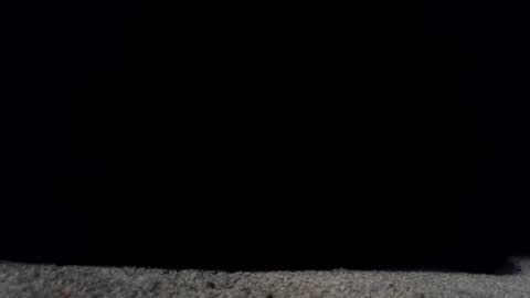 francescafey online show from March 17, 6:50 am