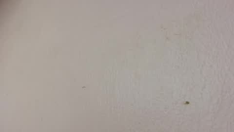 Snapshot of freaky_luna chatting on May 22, 5:25 am luna online show from May 22, 5:25 am