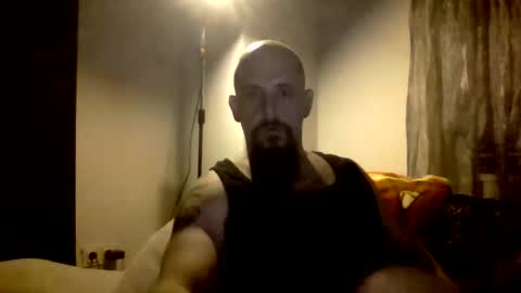 Snapshot of frecherkerl88007 chatting on November 4, 1:38 am frecherkerl88007 online show from November 4, 1:38 am