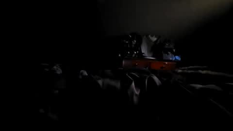 fred online show from October 19, 2:29 pm