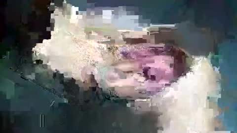 fredddy05 online show from November 25, 5:51 am