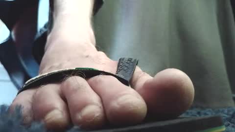 Greedy Fred online show from February 4, 2:45 pm