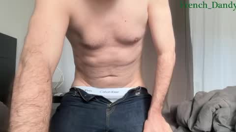 Snapshot of french_dandy chatting on April 12, 4:34 pm D online show from April 12, 4:34 pm