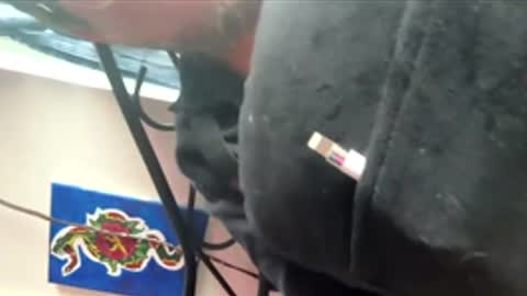 Snapshot of ftm_0 chatting on December 17, 6:25 pm ftm_0 online show from December 17, 6:25 pm