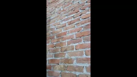 Fuckerrkapil online show from January 7, 7:44 am