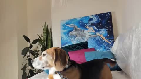 Snapshot of fuckingfairy chatting on January 10, 1:21 am Vicky online show from January 10, 1:21 am