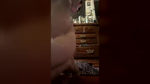 fuckingmyart online show from June 29, 2:39 pm