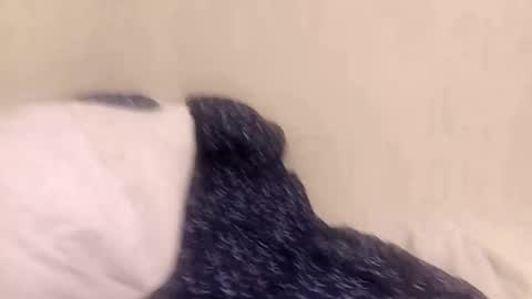 fuckmee12334wq online show from March 9, 1:42 am