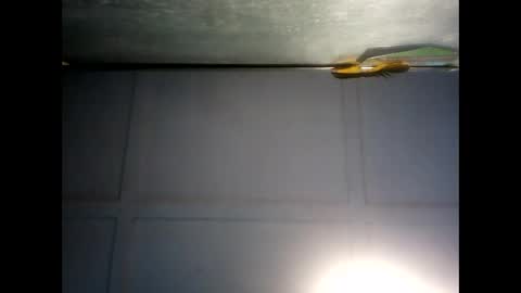 Warwick online show from December 3, 7:21 am