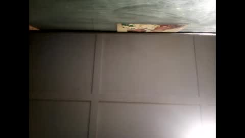 Warwick online show from December 8, 8:30 am