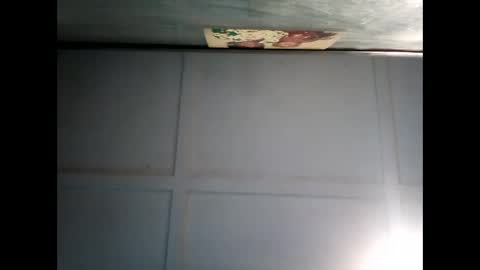 Warwick online show from December 11, 7:31 am