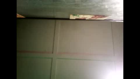 Warwick online show from December 16, 8:31 am