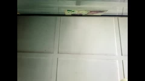 Warwick online show from December 19, 2:56 am