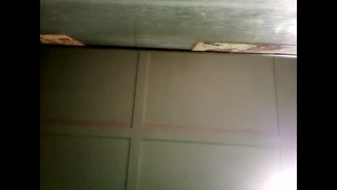 Warwick online show from December 24, 12:00 pm