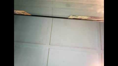 Warwick online show from December 27, 11:42 pm