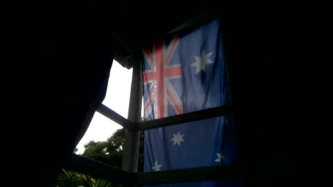 Warwick online show from January 20, 8:41 am