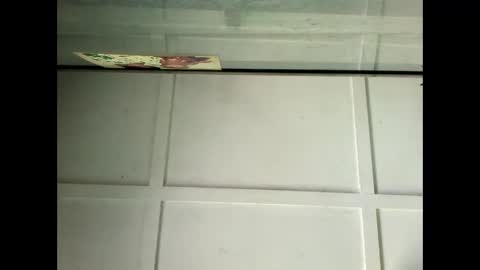 Warwick online show from January 29, 4:05 am