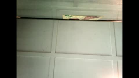 Warwick online show from February 4, 4:37 am