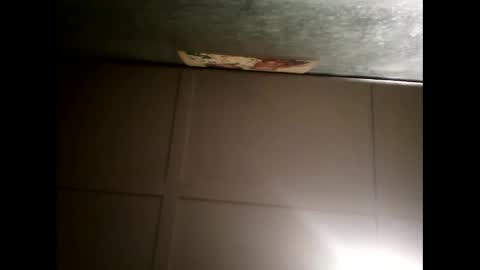 Warwick online show from February 20, 11:20 am