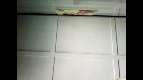 Warwick online show from February 24, 1:02 am