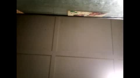 Warwick online show from March 3, 11:22 am