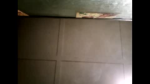 Warwick online show from March 12, 11:20 am