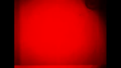 Warwick online show from September 16, 11:44 am