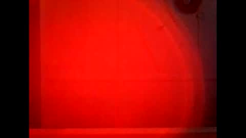 Warwick online show from September 22, 9:00 am