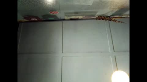 Warwick online show from September 29, 1:00 am