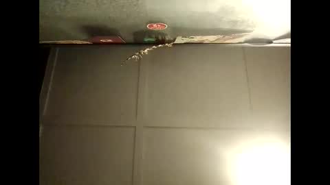 Warwick online show from October 8, 8:12 am