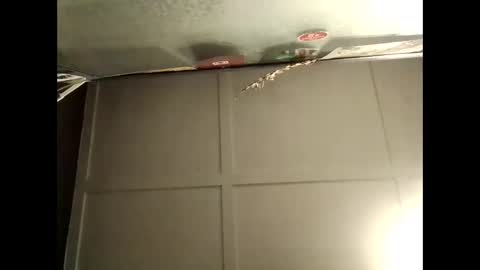 Warwick online show from October 10, 8:46 am