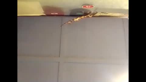 Warwick online show from October 16, 7:09 am